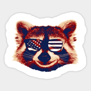 Raccool with  American Flag USA - Glasses Sticker